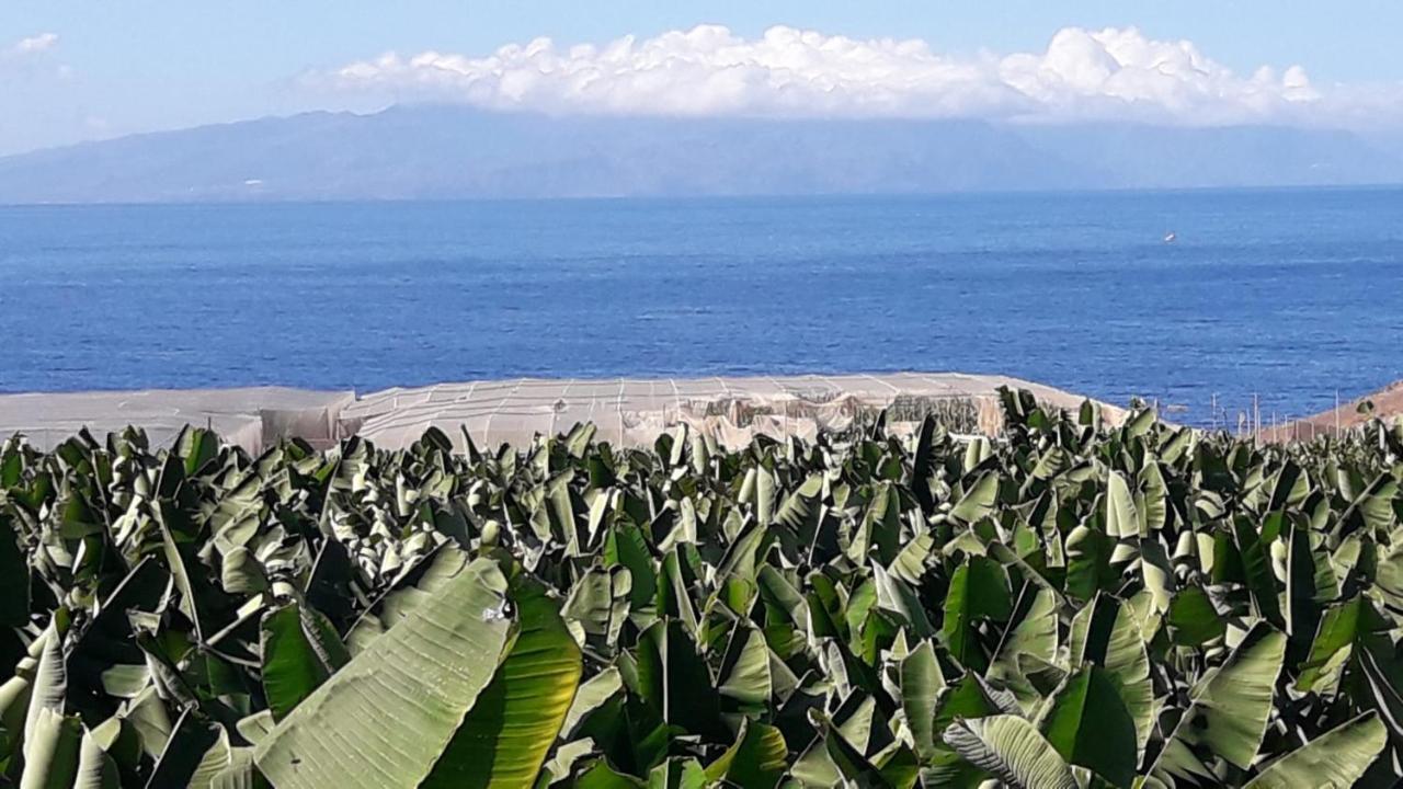 Apartamento Finca La Chiquita * Guía de Isora